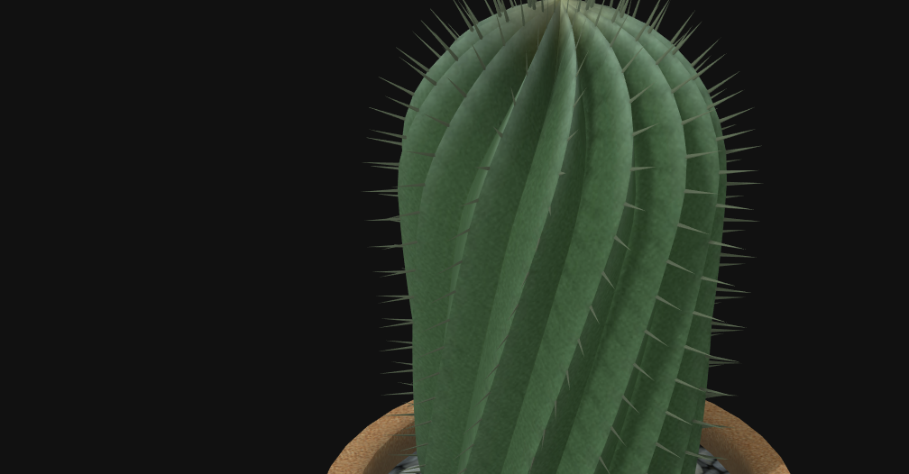Acanthocalycium Cactus